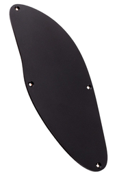 Control cavity cover plate - Regius / Duvell / Setius / Legend